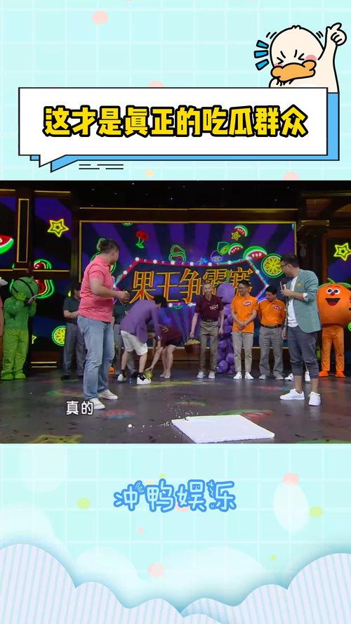 吃瓜新综艺