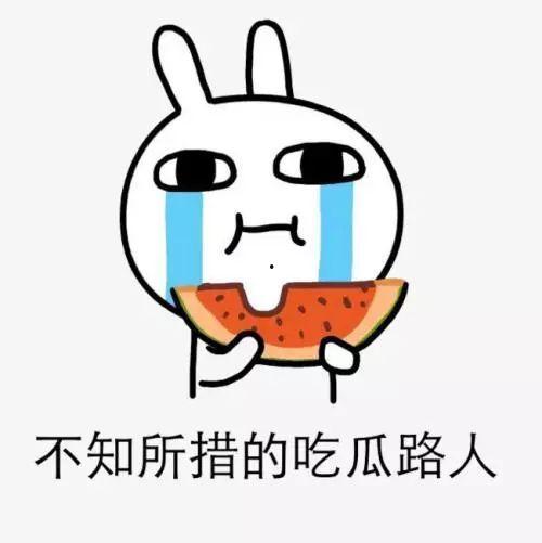 下雪了 吃瓜,冬日里的趣味时光