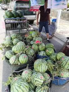 恩施来凤吃瓜事件,一场网络热议背后的真相探寻