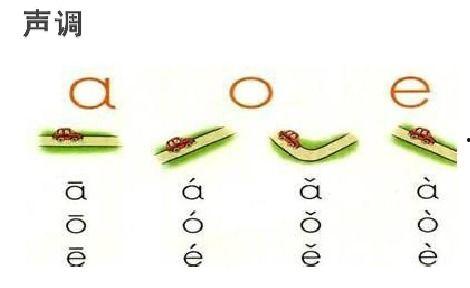 吃瓜拼音声调,探寻“吃瓜群众”的趣味与智慧