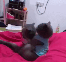 吃瓜的动态图片,跟随动态图片，一窥吃瓜群众的欢乐瞬间