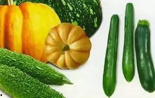 圈宝吃瓜,揭秘娱乐圈那些不为人知的幕后故事