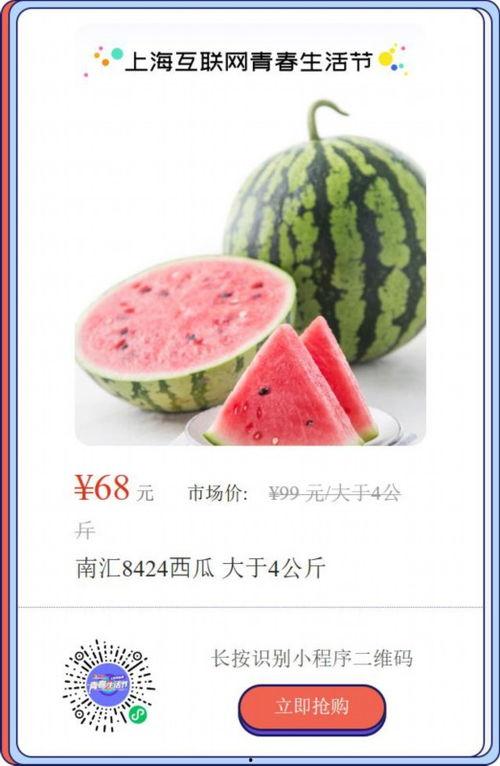 上海队吃瓜,揭秘背后真相与争议