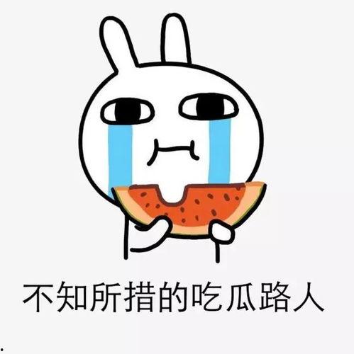 隔壁吃瓜的,隔壁吃瓜群众的趣味观察日记