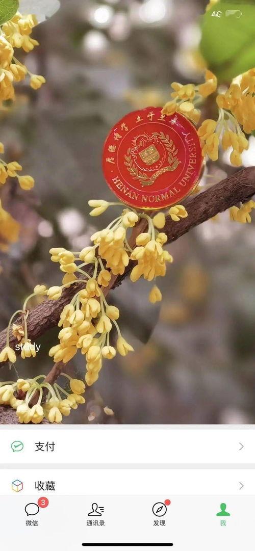 彩蛋在线吃瓜,在线吃瓜的狂欢盛宴