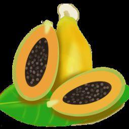 吃籽瓜图片,探寻籽瓜的独特魅力